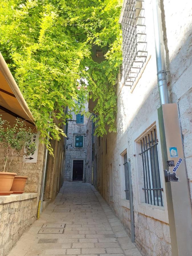 Central Palace Apartment شيبينيك المظهر الخارجي الصورة